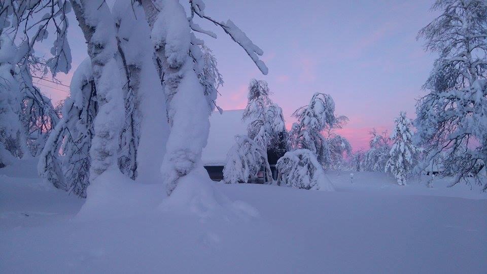 Galdotieva-Seo Vila Leppäjärvi Exterior foto